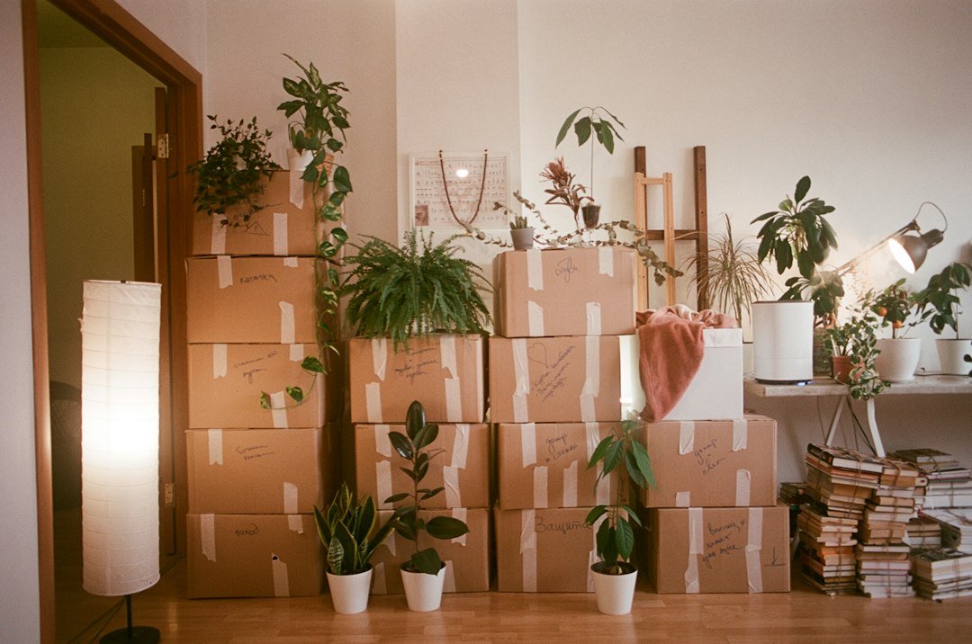 Miami moving estimate planning with organized boxes